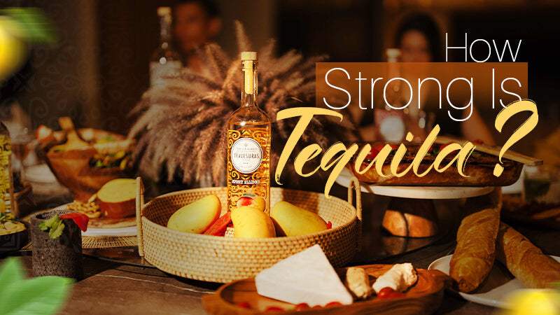 How Strong Is Tequila? Here’s What You Need to Know