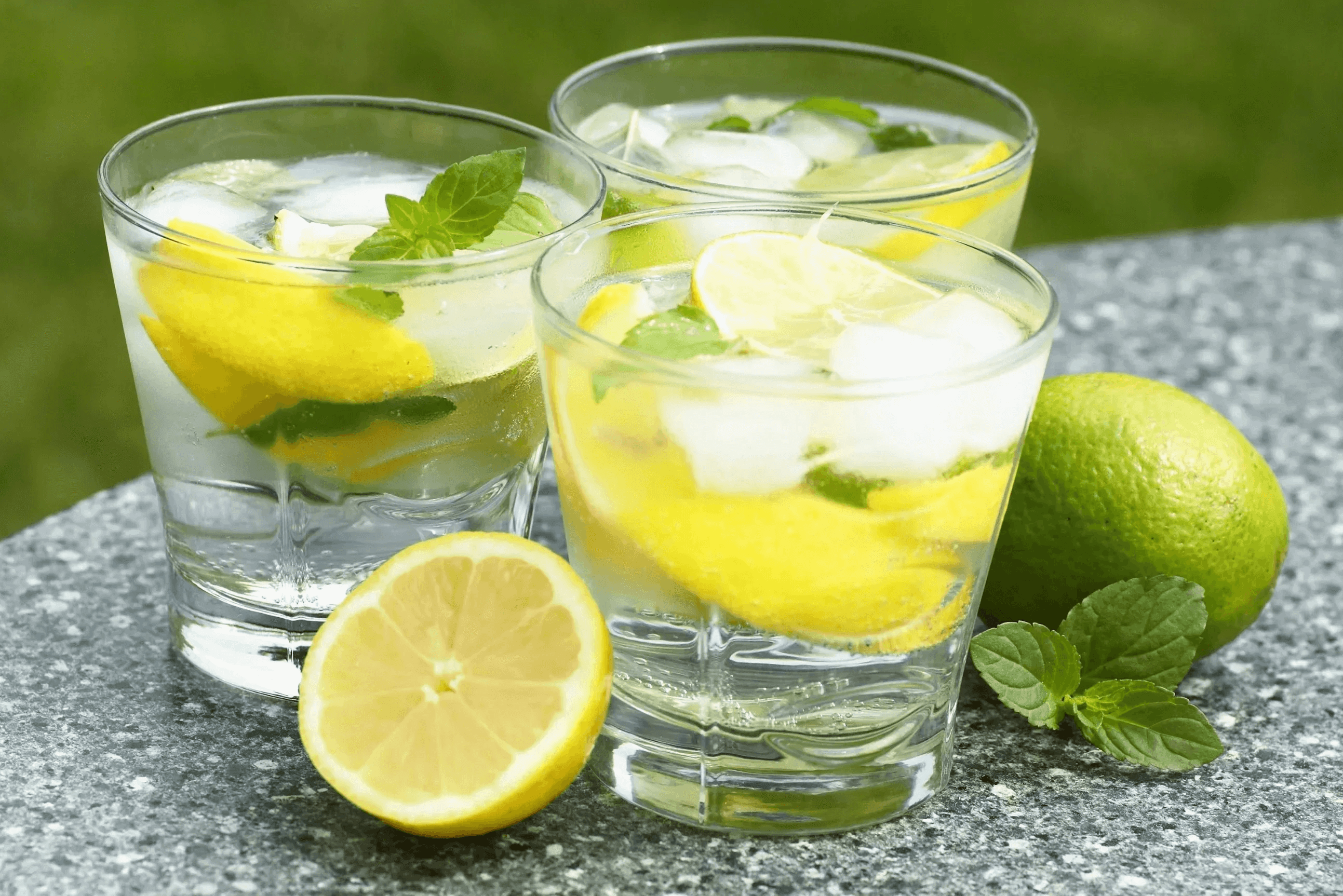 House Margarita Lemon