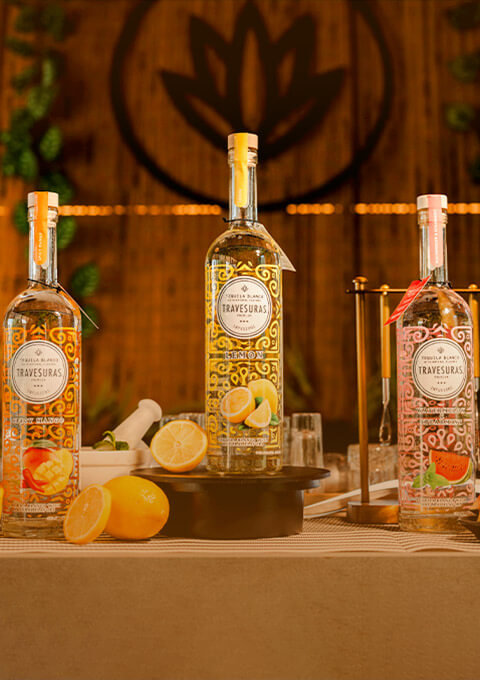 Homepage main banner premium tequila brands